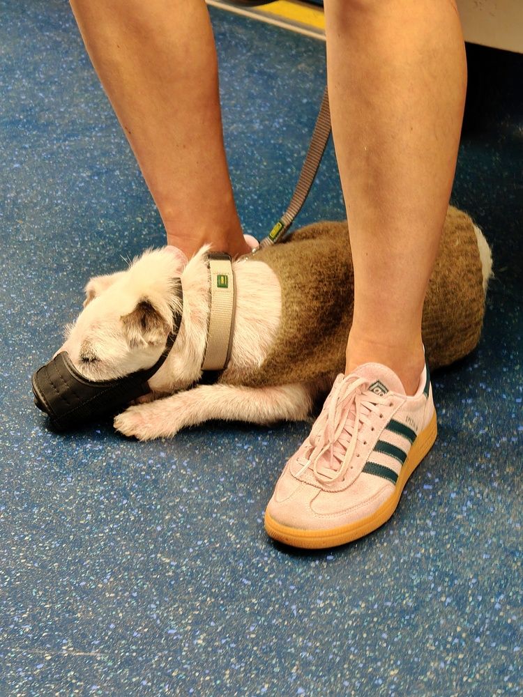 Photograph by Нина Кольман