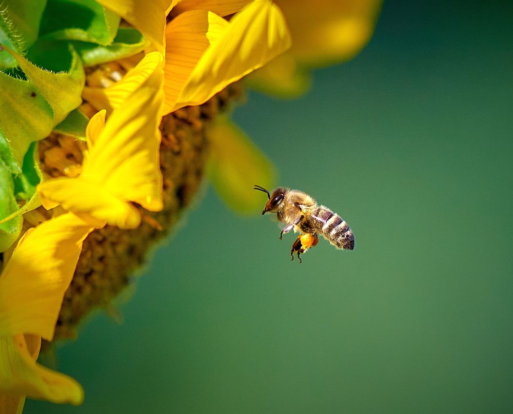 Photograph by Андрей Некрашевич