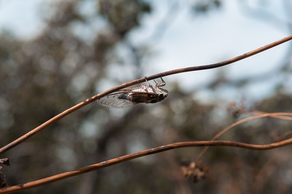Photograph by Егор Ставер