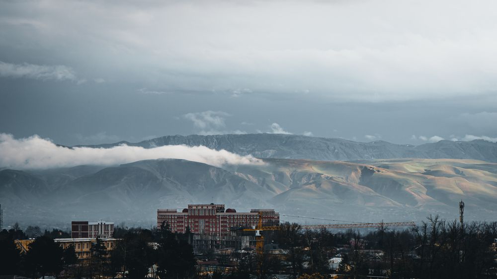 Фотография автора Николай Николин