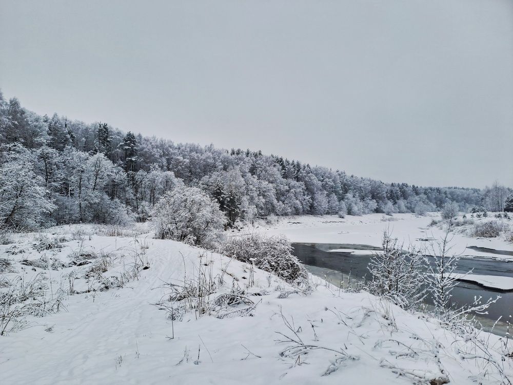 Photograph by Владимир Караман