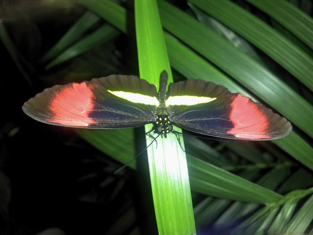 Photograph by Marina Poushkina