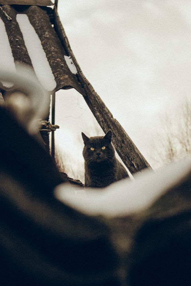 Photograph by Елена Нициевская