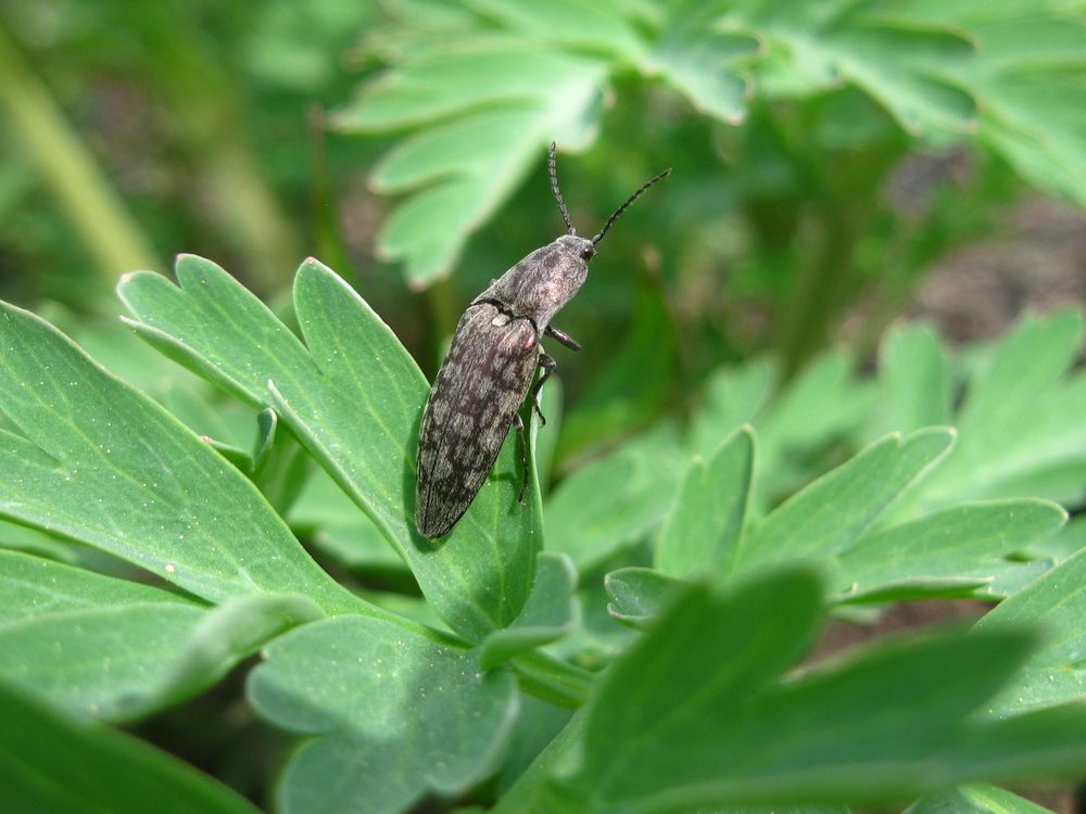 Фотография автора Светлана Капитонова
