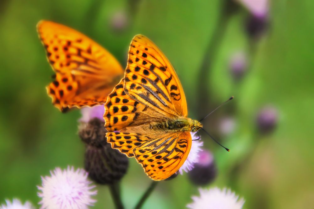 Фотография автора Марина Юдинских