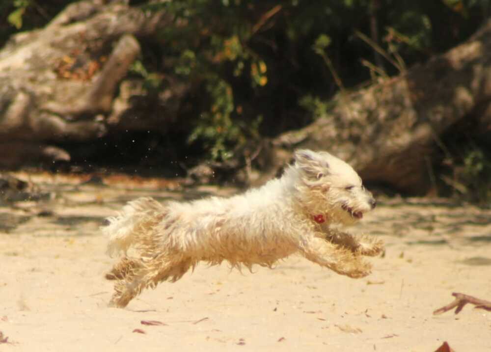 Photograph by Nishka Basdeo