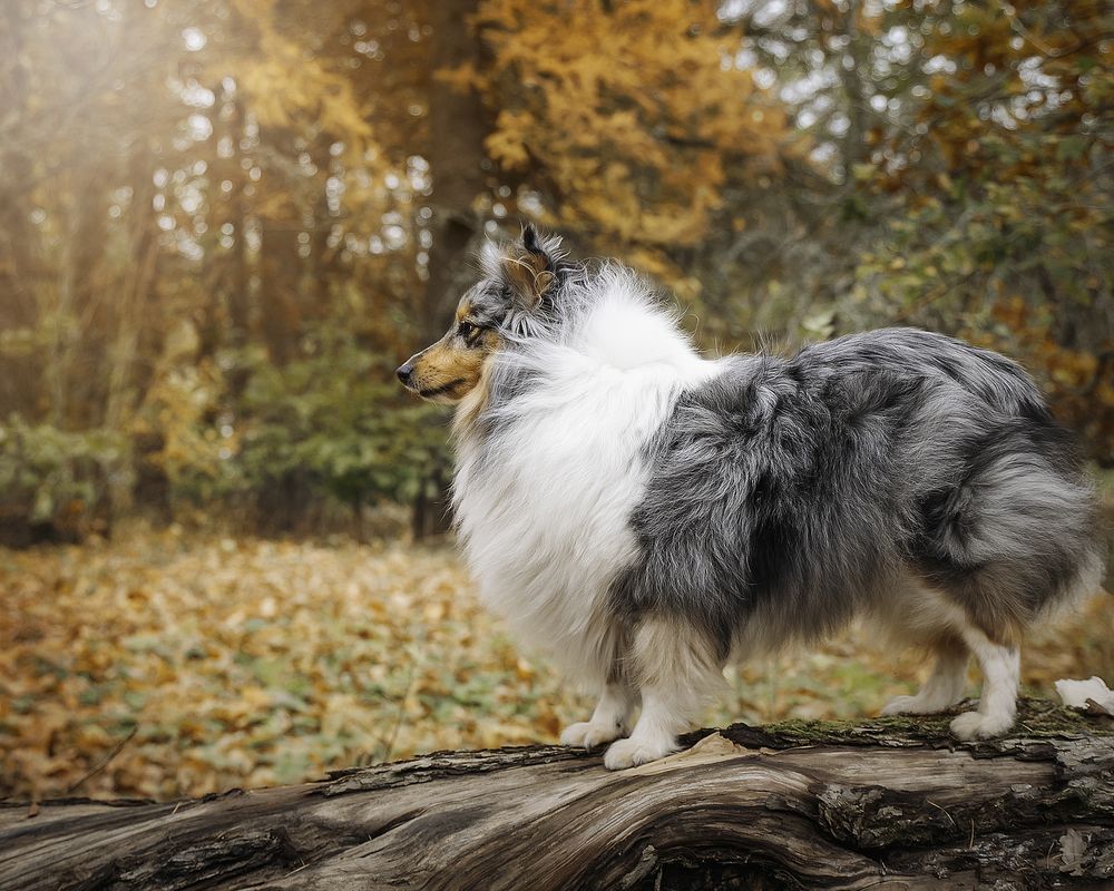 Photograph by Anna Sindikayeva