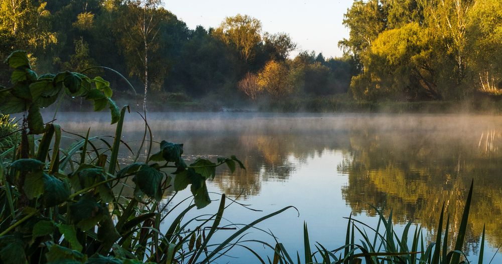 Photograph by Владимир Безбородов
