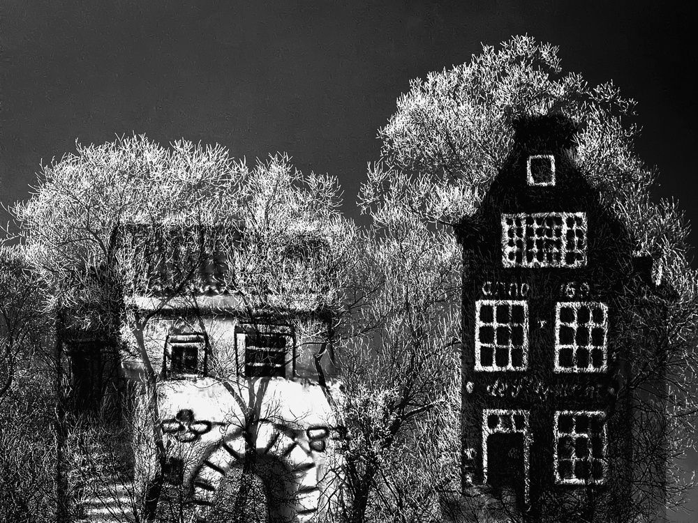Even a tree is a house
