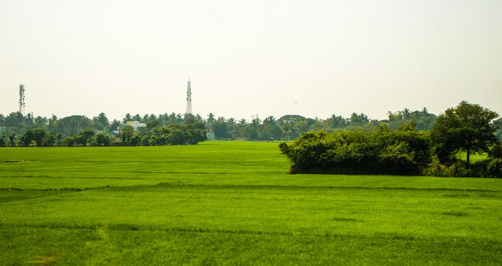 Photograph by Nadarajan Lakshmanswamy
