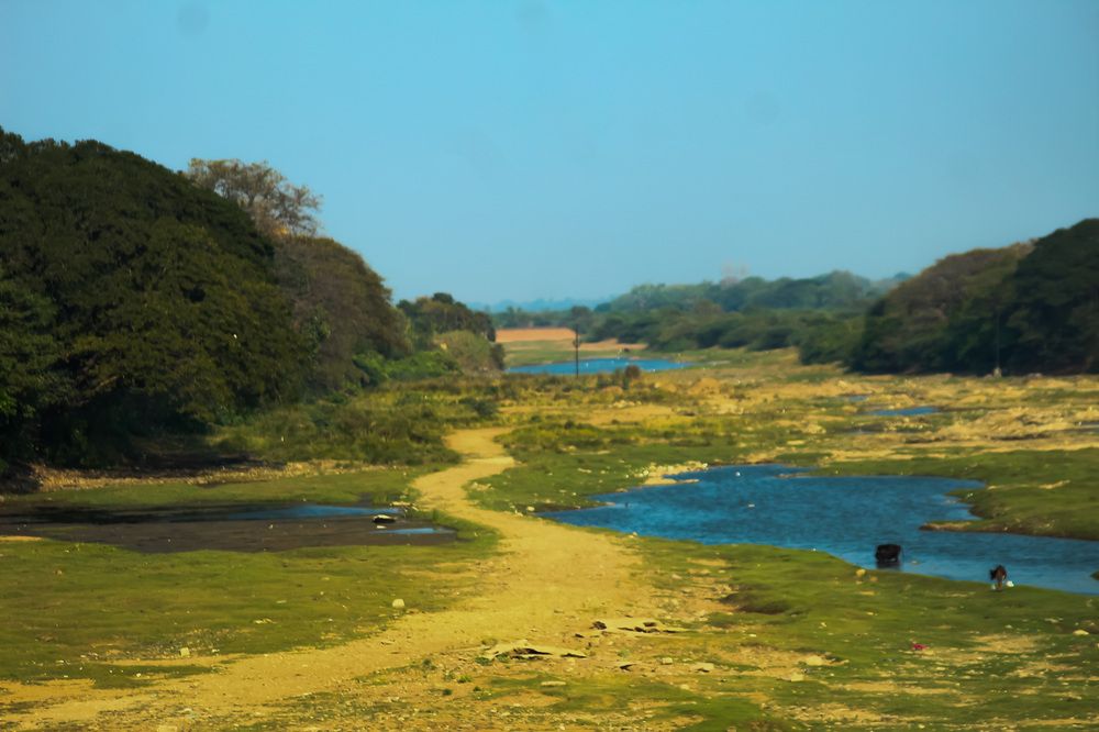 Фотография автора Nadarajan Lakshmanswamy
