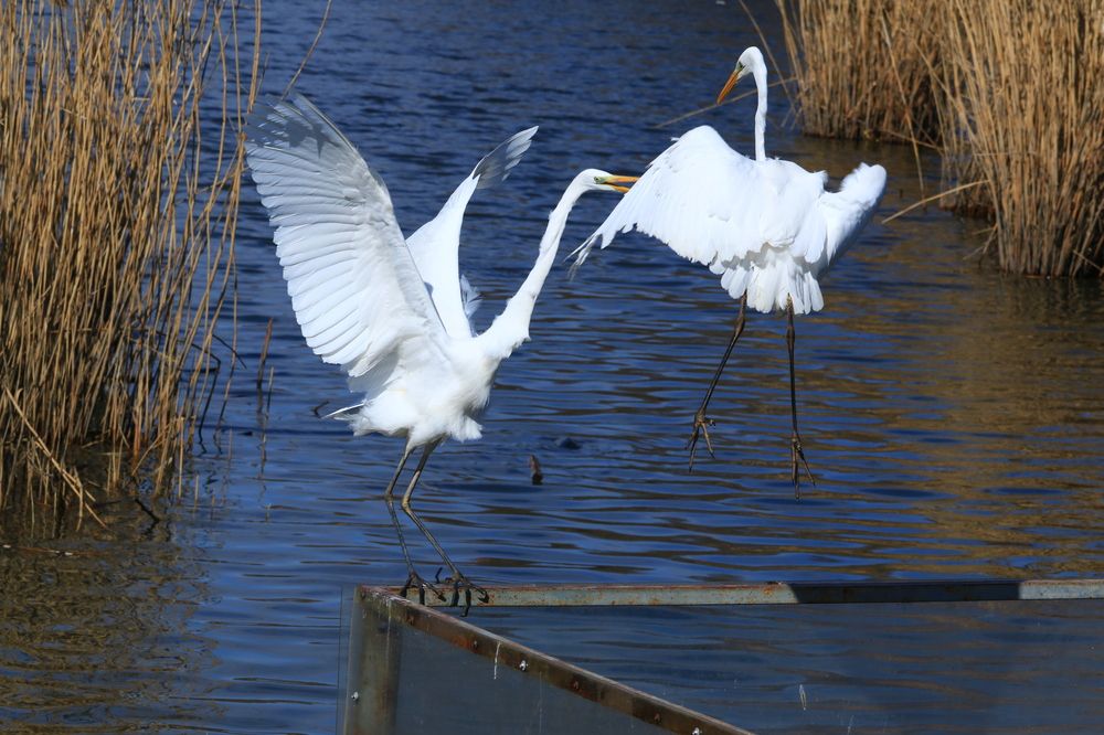 Фотография автора Сергей Кульков