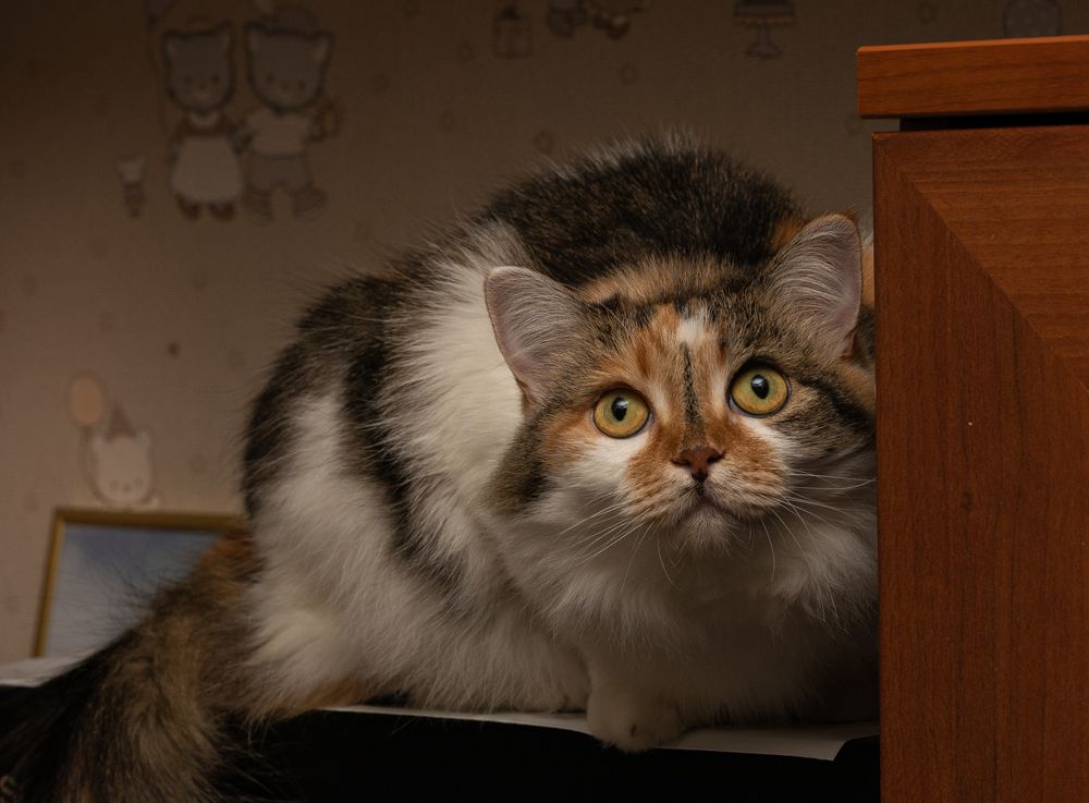 Фотография автора Марк Четвертухин