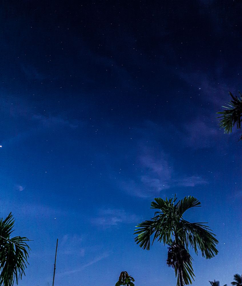 Tropical Starlit Serenity