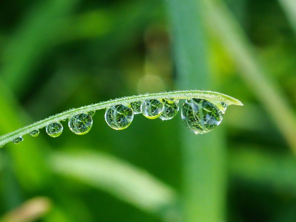 Photograph by Елена Харитонова