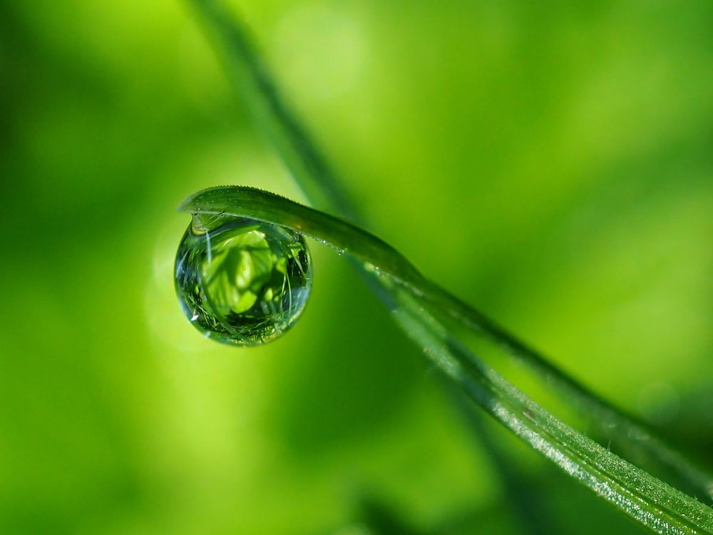 Photograph by Елена Харитонова