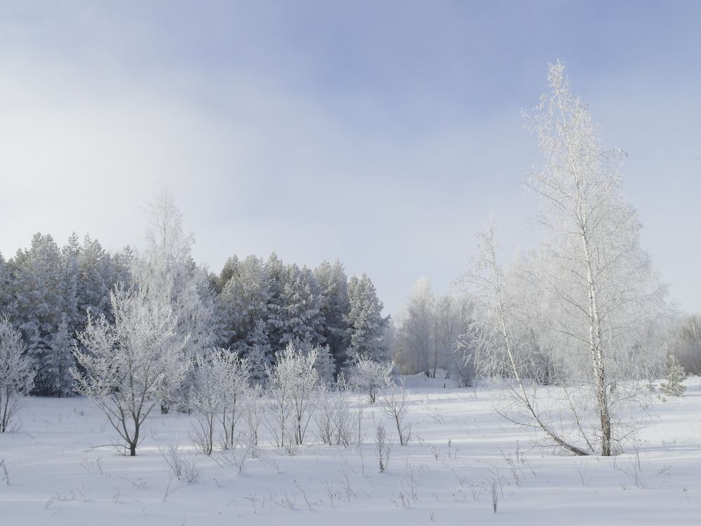 Photograph by Александр Кизим