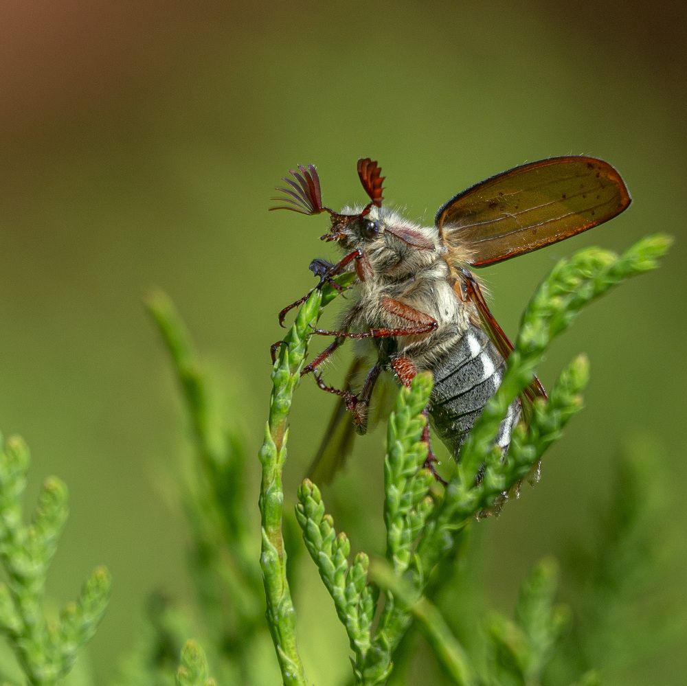 Photograph by Анатолий Макоедов
