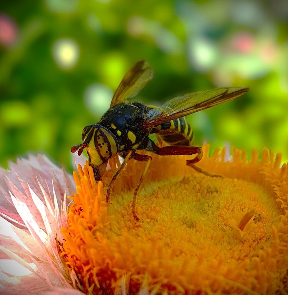 Photograph by Яна Галимуллина