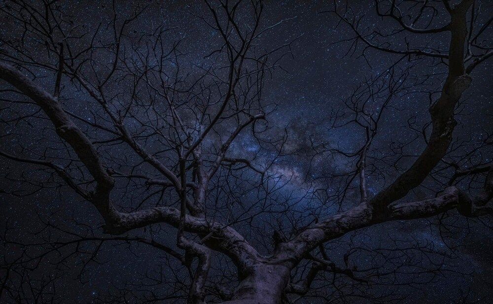 Photograph by wendy klein