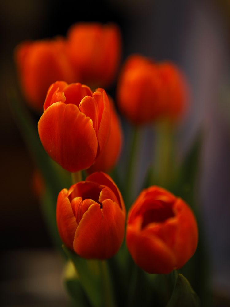 Photograph by Попов Виктор