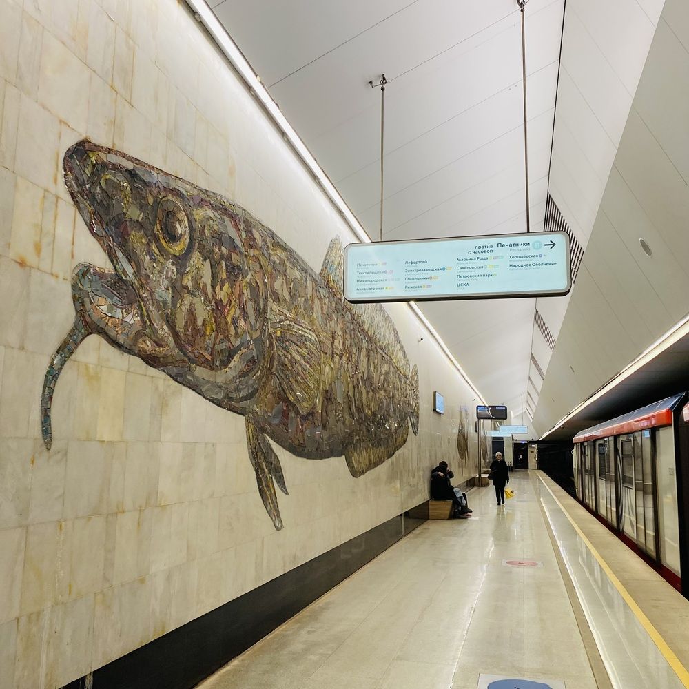 Шикарный налим!