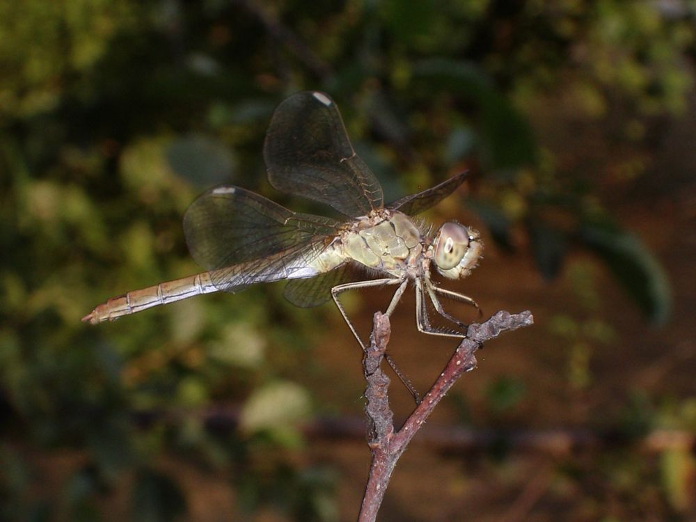 Photograph by Чеботарев Юрий