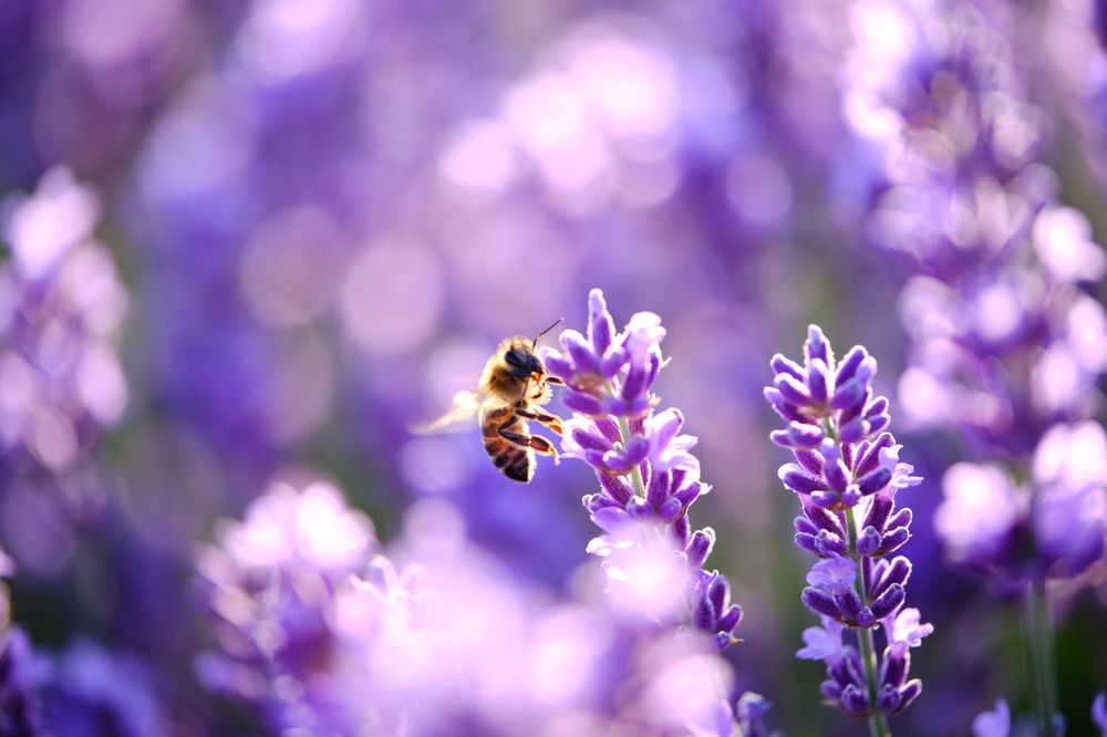 Photograph by Владислав Титов