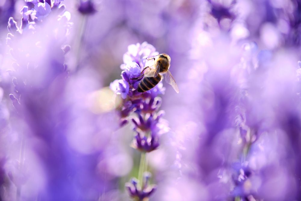 Photograph by Владислав Титов