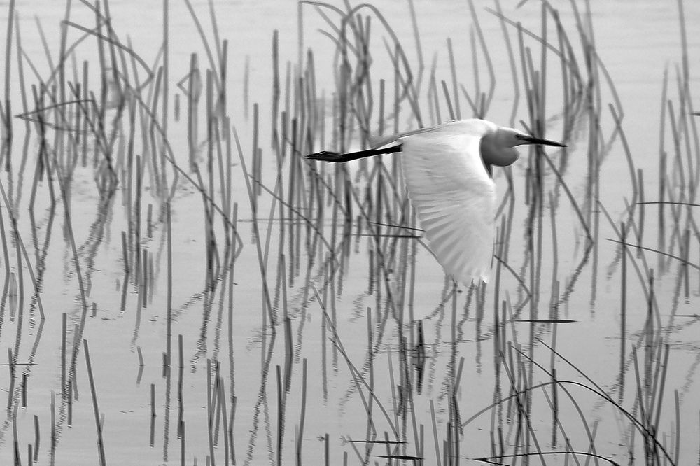 Photograph by Айдын Мехтиев