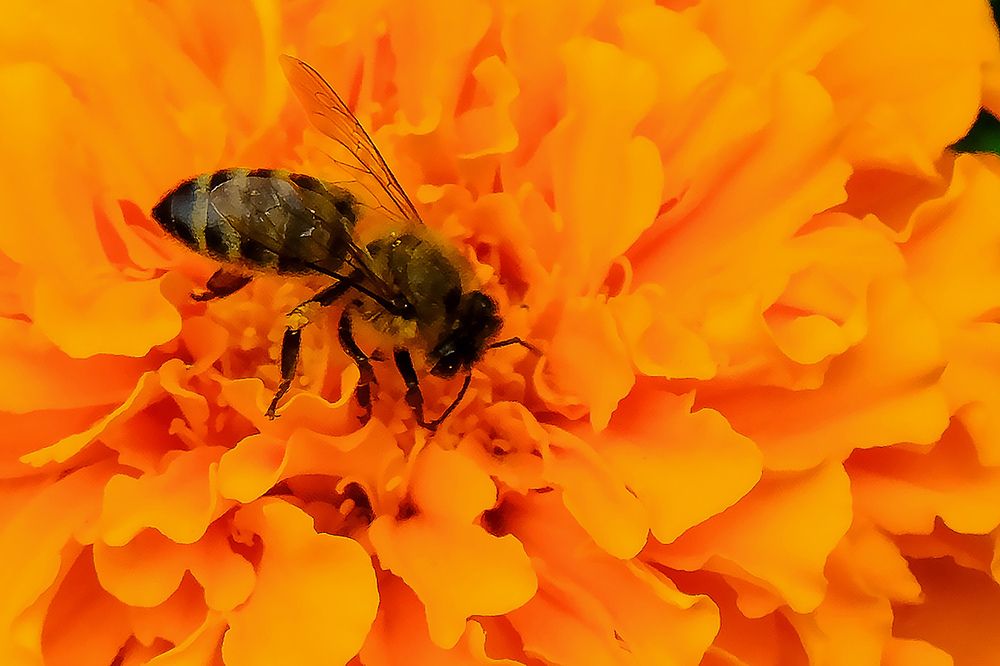 Photograph by Айдын Мехтиев