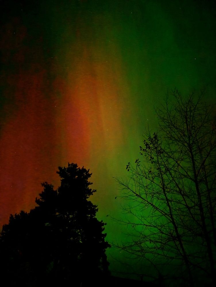 Photograph by Наталья Москвина