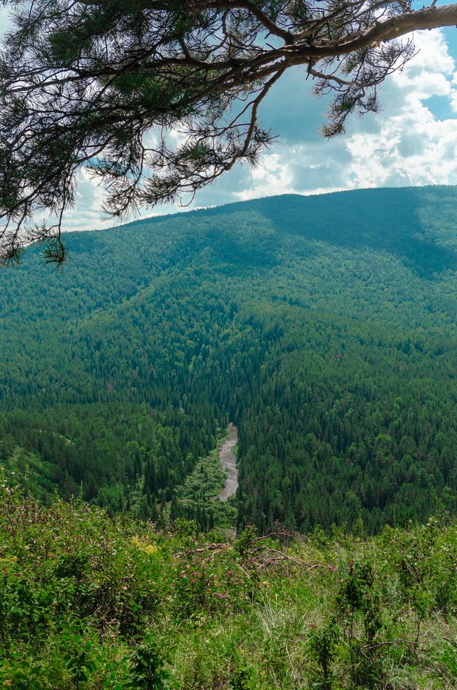 Photograph by Александр Грачев