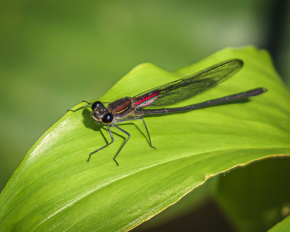 Photograph by Silvia Marcos
