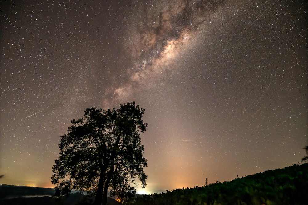 Photograph by Mateus Campos Felipe