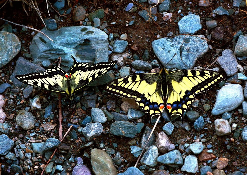 Photograph by ВАСИЛИЙ