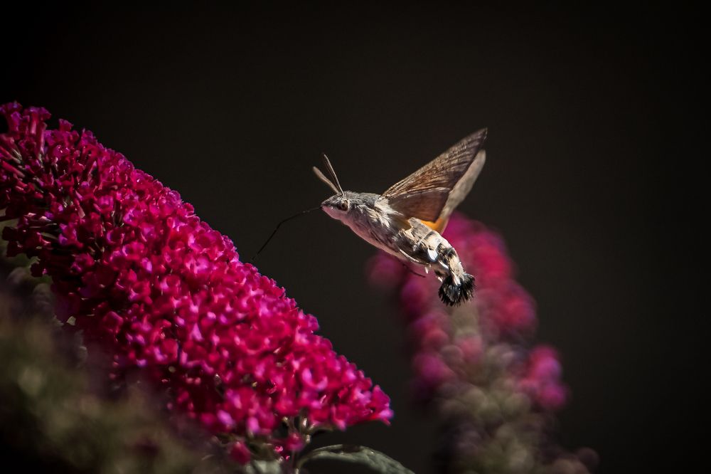 Photograph by Андрей Самородов