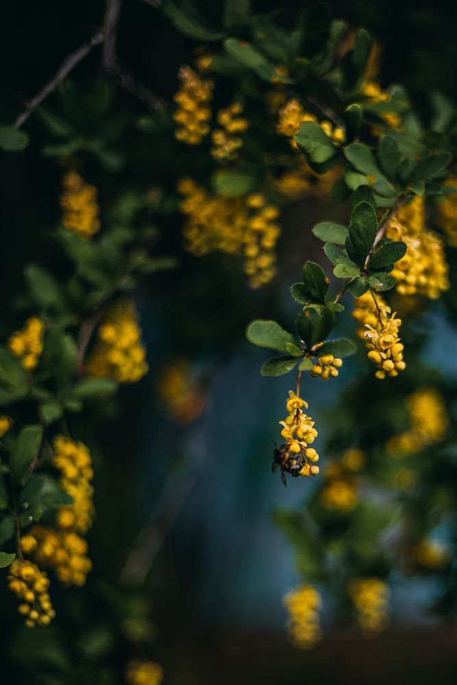 Фотография автора Дарья Шевченко