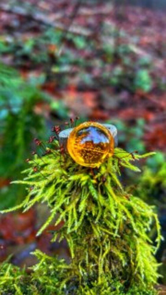 Photograph by Екатерина