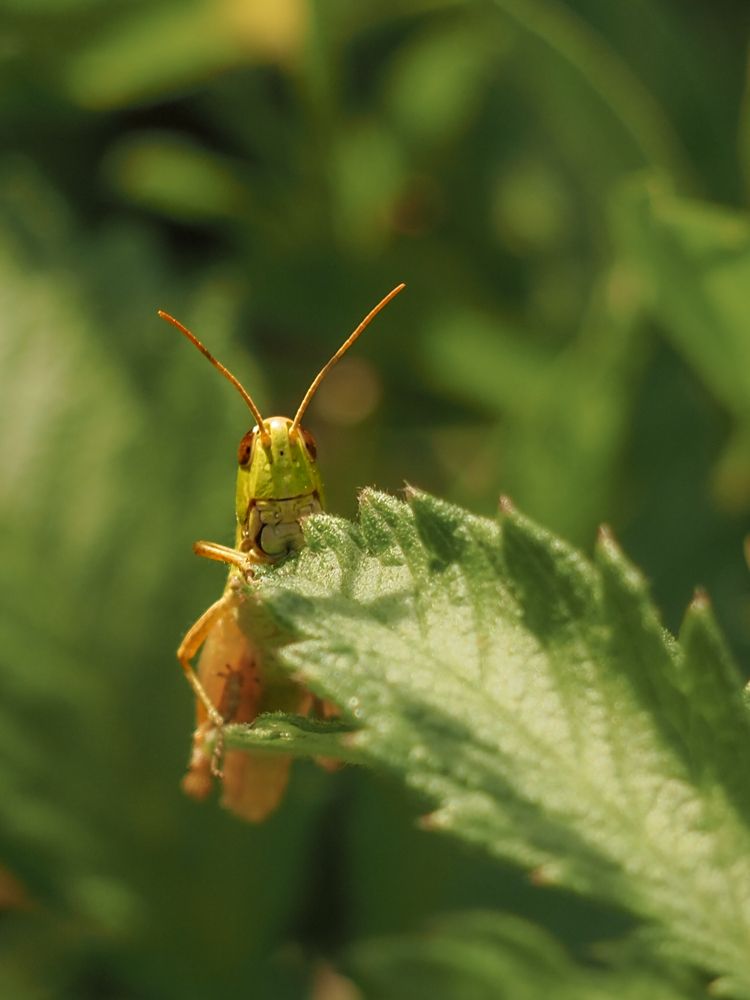 Photograph by Екатерина Ромадановская