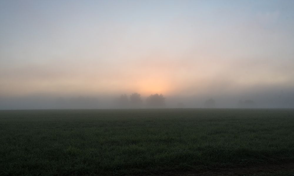 Photograph by Владимир Безбородов
