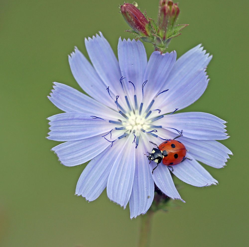 Photograph by Бибичков Михаил
