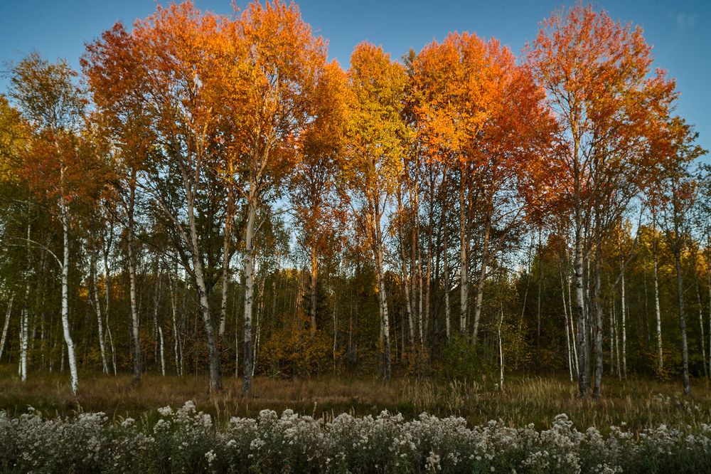 Photograph by Борис Максимов