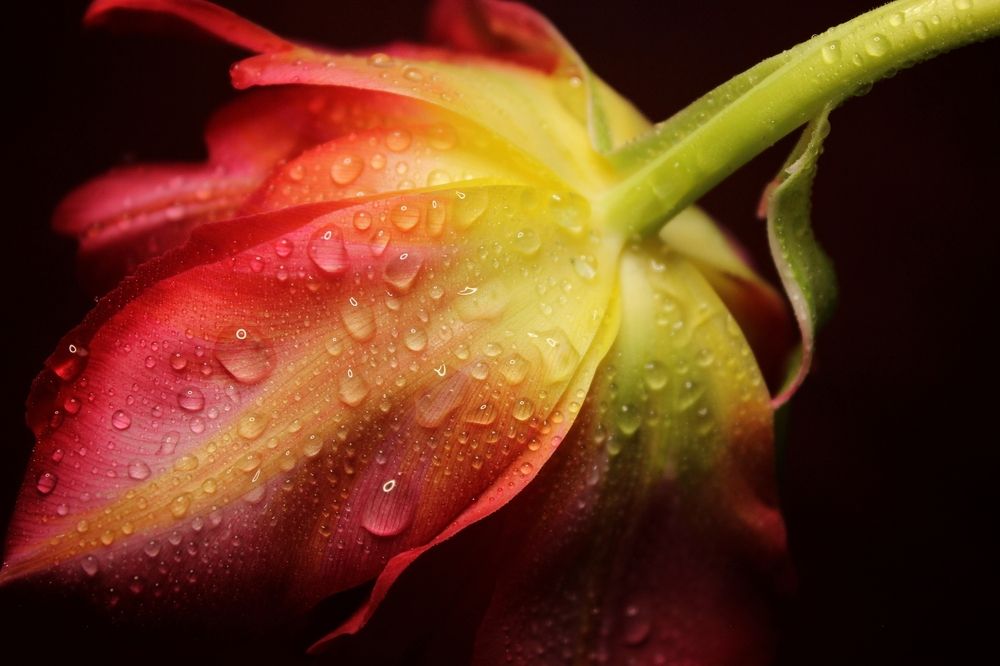 Photograph by Татьяна Сычёва