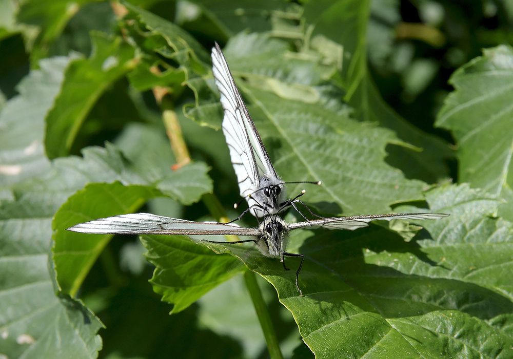 Photograph by Андрей Лукин