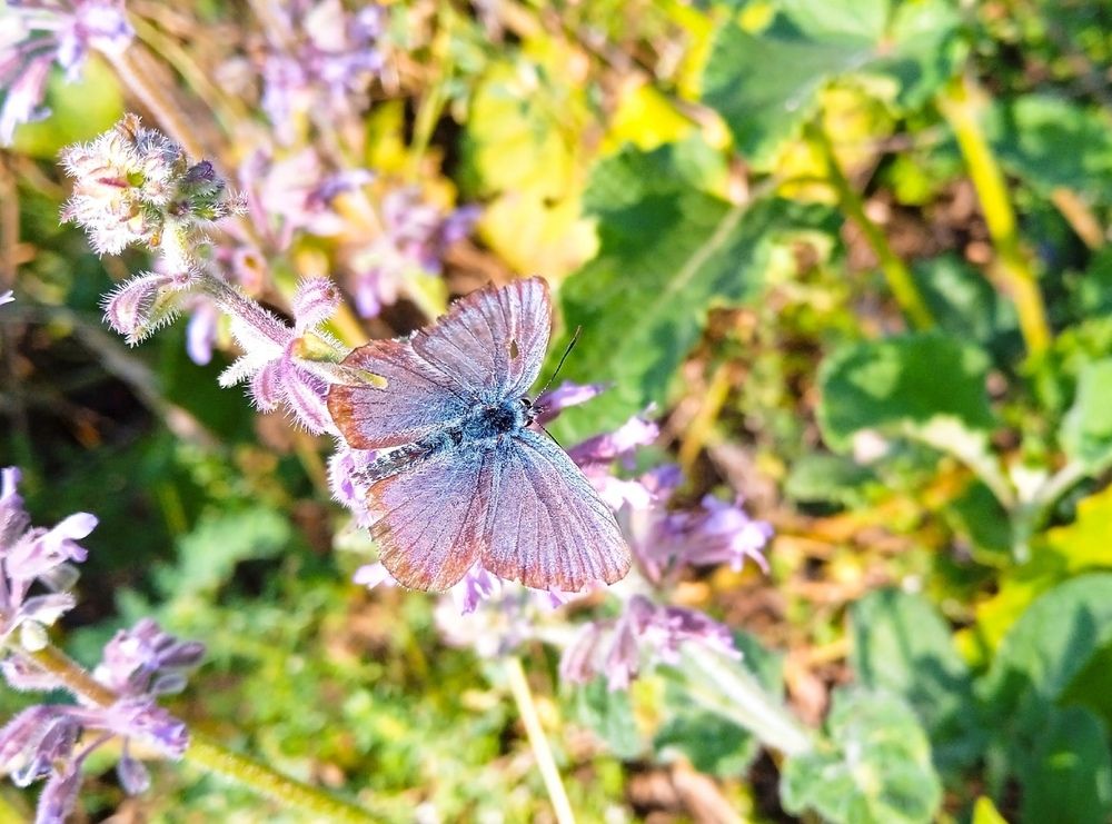 Photograph by Екатерина Алексеевна