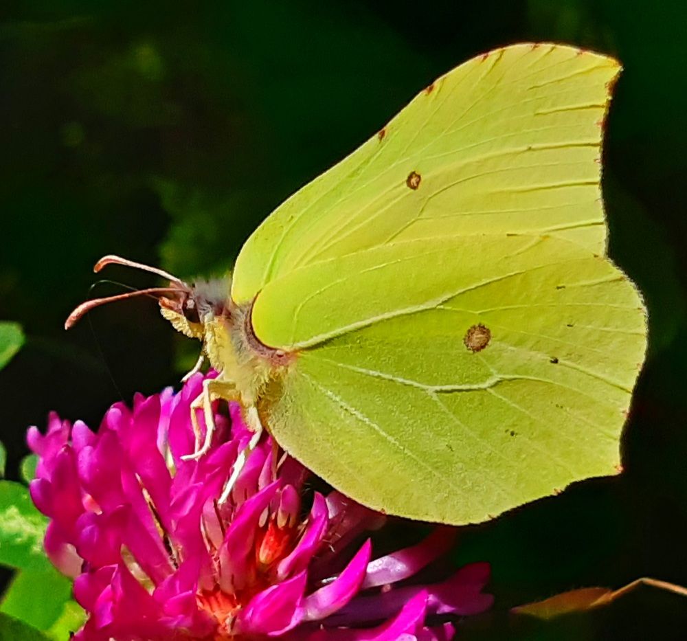 Photograph by Екатерина