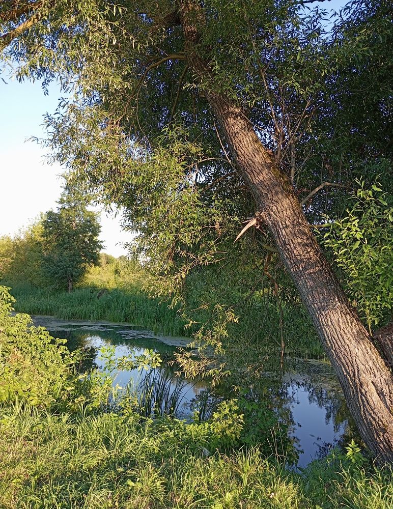 Photograph by Елена Коробченко