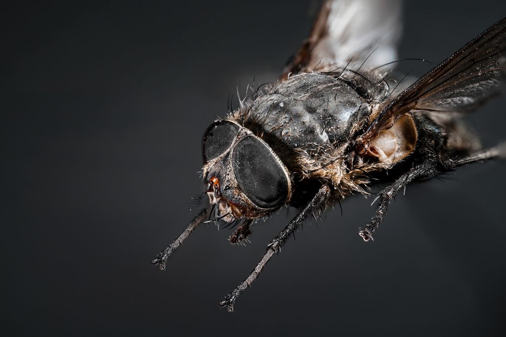 Photograph by Алексей Еремеев