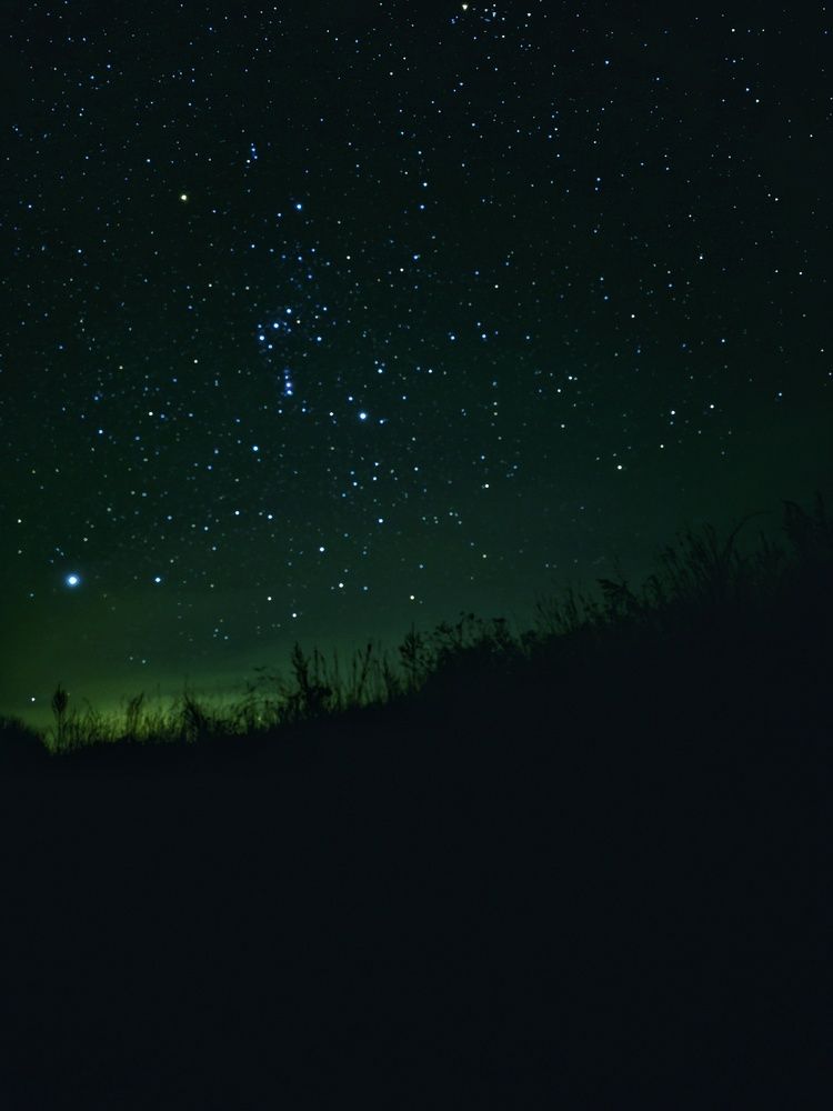 Photograph by Ольга Веселова